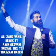 آهنگ جدید علی زندوکیلی به نام ریمیکس شاد (از امین رضوانی)